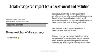 cmaximino@unifesspa.edu.br
Climate change can impact brain development and evolution
●
Temperature effects on nervous system
development can alter neural attributes ranging
from the biochemical to the system level,
including effects on gene expression in neurons,
neuron structure, and brain organization
●
The thermal environment can influence
neurogenesis in adult brains
●
Climate change can indirectly influence the
adaptiveness of sensory and neural function,
even if neural performance per se remains
constant, by affecting the sensory enviroment
 
