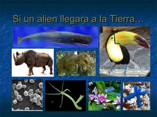 Si un alien llegara a la Tierra…Si un alien llegara a la Tierra…
 