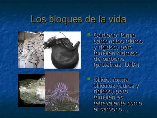 Los bloques de la vidaLos bloques de la vida
 Carbono: formaCarbono: forma
carbonatos (duroscarbonatos (duros
y rígidos) peroy rígidos) pero
también hidratostambién hidratos
de carbonode carbono
(proteínas, DNA)(proteínas, DNA)
 Silicio: formaSilicio: forma
silicatos (duros ysilicatos (duros y
rígidos) perorígidos) pero
también estambién es
tetravalente comotetravalente como
el carbono…el carbono…
 