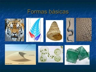 Formas básicasFormas básicas
 