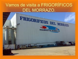 Vamos de visita a FRIGORÍFICOS DEL MORRAZO. 