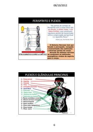 08/10/2012
6
“Os pontos de contato do“Os pontos de contato do
Perispírito com o corpo físico sãoPerispírito com o corpo físico são
os nervos, o córtex motoros nervos, o córtex motor e ose os
lobos frontaislobos frontais, que constituem, que constituem
regulares pontos de transmissãoregulares pontos de transmissão
entre a organização perispiritualentre a organização perispiritual
e o aparelho físico.”e o aparelho físico.”
André Luiz, No Mundo MaiorAndré Luiz, No Mundo Maior
PERISPÍRITO E PLEXOSPERISPÍRITO E PLEXOS
O Sistema Nervoso tem por
função a percepção, recepção
e transmissão dos estímulos
a diversas partes do corpo.
Através do sistema nervoso
se conduzem os estímulos
energéticos vindos do espírito
para o corpo.
12
PLEXOS E GLÂNDULAS PRINCIPAISPLEXOS E GLÂNDULAS PRINCIPAIS
PastorinoPastorino
I
F
G
E
E
D
C
BA
H
1
2
3
4
5
6
7
A – Corpo pineal
B – Hipofise
C – Tireoide
D – Timo
E – (vermelho) Coracao
E – (azul) Baco
F – Pancreas
G – Supra-renal
H – Ovarios (na mulher)
I – Testiculos (no homem)
1– Plexos carotideo e cavernoso
2 – Plexos cervical e laringeo
3 – Plexos braquial
4 – Plexo cardiaco
5 – Plexo solar (epigastrico)
6 – Plexo lombar
7 – Plexo sacro
 