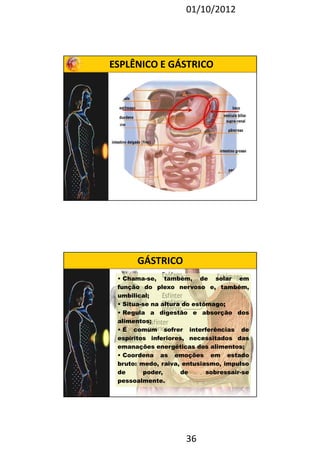 01/10/2012 
ESPLÊNICO E GÁSTRICO 
• Chama-se, também, de solar em 
função do plexo nervoso e, também, 
umbilical; 
• Situa-se na altura do estômago; 
• Regula a digestão e absorção dos 
alimentos; 
• É comum sofrer interferências de 
espíritos inferiores, necessitados das 
emanações energéticas dos alimentos; 
• Coordena as emoções em estado 
bruto: medo, raiva, entusiasmo, impulso 
de poder, de sobressair-se 
pessoalmente. 
36 
GÁSTRICO 
 