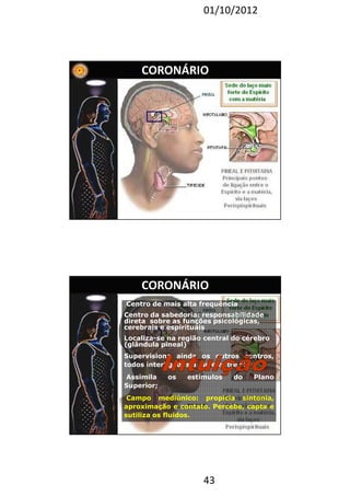 01/10/2012 
CORONÁRIO 
CORONÁRIO 
Centro de mais alta frequência 
Centro da sabedoria: responsabilidade 
direta sobre as funções psicológicas, 
cerebrais e espirituais 
Localiza-se na região central do cérebro 
(glândula pineal) 
Supervisiona ainda os outros centros, 
todos interligados a ele e entre si; 
Assimila os estímulos do Plano 
Superior; 
Campo mediúnico: propicia sintonia, 
aproximação e contato. Percebe, capta e 
sutiliza os fluidos. 
43 
 
