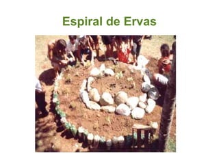Espiral de Ervas 
