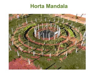Horta Mandala 