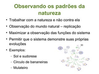 Observando os padrões da natureza Trabalhar com a natureza e não contra ela Observação do mundo natural – replicação Maximizar a observação das funções do sistema Permitir que o sistema demonstre suas próprias evoluções Exemplos: Sol e sudorese Círculo de bananeiras Mulateiro 