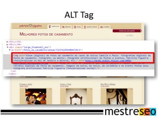 ALT Tag
 
