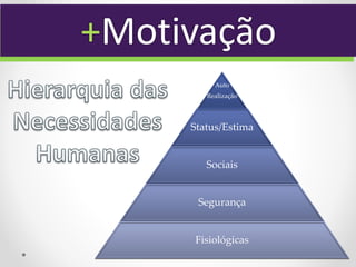 +Motivação
          Auto
        Realização




     Status/Estima


        Sociais


      Segurança


     Fisiológicas
 