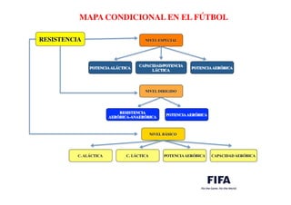 RESISTENCIA	

 NIVEL ESPECIAL	

POTENCIAALÁCTICA	

CAPACIDAD/POTENCIA 	

LÁCTICA	

POTENCIAAERÓBICA	

NIVEL DIRIGIDO	

RESISTENCIA	

AERÓBICA-ANAERÓBICA	

POTENCIAAERÓBICA	

NIVEL BÁSICO	

C. ALÁCTICA	

 C. LÁCTICA	

 POTENCIAAERÓBICA	

 CAPACIDAD AERÓBICA	

MAPA CONDICIONAL EN EL FÚTBOL	

 