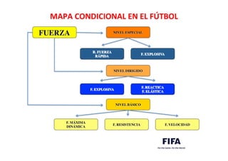 MAPA	
  CONDICIONAL	
  EN	
  EL	
  FÚTBOL	
  
	
  
FUERZA	

 NIVEL ESPECIAL	

R. FUERZA	

RÁPIDA	

F. EXPLOSIVA	

NIVEL DIRIGIDO	

F. EXPLOSIVA	

F. REACTICA	

F. ELÁSTICA	

NIVEL BÁSICO	

F. MÁXIMA	

DINÁMICA	

F. RESISTENCIA	

 F. VELOCIDAD	

 
