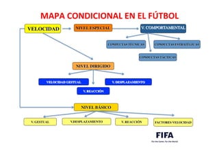 MAPA	
  CONDICIONAL	
  EN	
  EL	
  FÚTBOL	
  
	
  VELOCIDAD	

 NIVEL ESPECIAL	

	

V. COMPORTAMENTAL	

	

CONDUCTAS TÉCNICAS	

CONDUCTAS TÁCTICAS	

CONDUCTAS ESTRATÉGICAS	

NIVEL DIRIGIDO	

VELOCIDAD GESTUAL	

V. REACCIÓN	

V. DESPLAZAMIENTO	

NIVEL BÁSICO	

V. GESTUAL	

 V.DESPLAZAMIENTO	

 V. REACCIÓN	

 FACTORES VELOCIDAD	

 