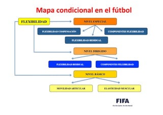 Mapa	
  condicional	
  en	
  el	
  fútbol	
  
FLEXIBILIDAD	

 NIVEL ESPECIAL	

NIVEL DIRIGIDO	

NIVEL BÁSICO	

FLEXIBILIDAD COMPENSACIÓN	

FLEXIBILIDAD RESIDUAL	

COMPONENTES FLEXIBILIDAD	

COMPONENTES FELXIBILIDAD	

FLEXIBILIDAD RESIDUAL	

MOVILIDAD ARTICULAR	

 ELASTICIDAD MUSCULAR	

 