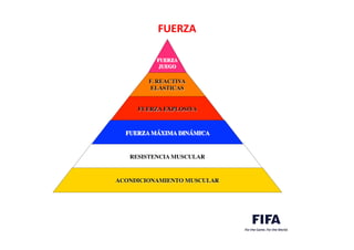FUERZA	
  
	

	

FUERZA 	

JUEGO	

F. REACTIVA	

ELÁSTICAS	

FUERZA EXPLOSIVA	

FUERZA MÁXIMA DINÁMICA	

RESISTENCIA MUSCULAR	

ACONDICIONAMIENTO MUSCULAR	

 