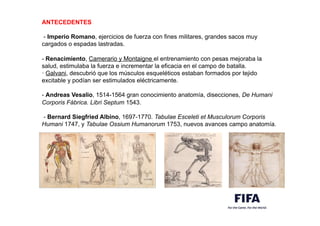 ANTECEDENTES
- Imperio Romano, ejercicios de fuerza con fines militares, grandes sacos muy
cargados o espadas lastradas.
- Renacimiento, Camerario y Montaigne el entrenamiento con pesas mejoraba la
salud, estimulaba la fuerza e incrementar la eficacia en el campo de batalla.
· Galvani, descubrió que los músculos esqueléticos estaban formados por tejido
excitable y podían ser estimulados eléctricamente.
- Andreas Vesalio, 1514-1564 gran conocimiento anatomía, disecciones, De Humani
Corporis Fábrica. Libri Septum 1543.
- Bernard Siegfried Albino, 1697-1770. Tabulae Esceleti et Musculorum Corporis
Humani 1747, y Tabulae Ossium Humanorum 1753, nuevos avances campo anatomía.
 