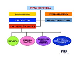  	
  
	
  
	
  	
  
TIPOS DE FUERZA	

FUERZA RESISTENCIA	

 FUERZA VELOCIDAD	

FUERZA MÁXIMA	

 FUERZA COMPENSATORIA	

FUERZA ESPECÍFICA FÚTBOL	

EXPLOSIVA	

EXPLOSIVA	

ELÁSTICA	

RESISTENCIA	

FUERZA	

EXPLOSIVA	

RESISTENCIA 	

FUERZA EXPLOSIVA	

ELÁSTICA	

 