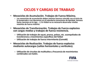 ..	
  
..	
  
	
  
CICLOS	
  Y	
  CARGAS	
  DE	
  TRABAJO	
  	
  
•  Mesociclos	
  de	
  Acumulación.	
  Trabajos	
  de	
  Fuerza	
  Máxima.	
  	
  
–  Los	
  mesociclos	
  de	
  acumulación	
  deben	
  intentar	
  hacerse	
  coincidir	
  con	
  el	
  inicio	
  de	
  
la	
  temporada	
  o	
  con	
  descansos	
  en	
  el	
  calendario	
  (vacaciones	
  de	
  Navidad,	
  Semana	
  
Santa,	
  parones	
  en	
  la	
  Liga,	
  ...).	
  En	
  fútbol	
  no	
  es	
  necesario	
  desarrollar	
  niveles	
  
máximos	
  de	
  fuerza	
  máxima.	
  	
  
	
  
•  Mesociclos	
  de	
  Transformación.	
  Trabajos	
  de	
  Fuerza	
  explosiva	
  
con	
  cargas	
  medias	
  y	
  trabajos	
  de	
  fuerza	
  resistencia.	
  	
  
–  ULlización	
  de	
  trabajos	
  de	
  squat,	
  prensa,	
  poleas,	
  etc.	
  acompañados	
  de	
  
transferencia	
  a	
  movimientos	
  especíﬁcos	
  del	
  fútbol	
  	
  
–  ULlización	
  de	
  trabajos	
  de	
  fuerza	
  intermitente	
  (Comeq)	
  	
  
	
  
•  Mesociclos	
  de	
  Realización.	
  Trabajos	
  de	
  fuerza	
  explosiva	
  
mediante	
  autocargas	
  (saltos	
  horizontales	
  y	
  verLcales).	
  	
  
–  ULlización	
  de	
  circuitos	
  de	
  mulLsaltos	
  y	
  frecuencia	
  de	
  movimientos	
  
combinados	
  con	
  balón.	
  	
  
	
  
 