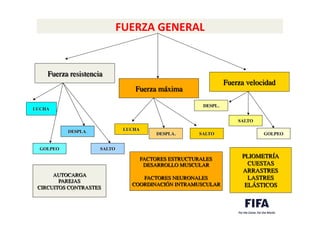 FUERZA	
  GENERAL	
  
	
  	
  
Fuerza resistencia	

Fuerza máxima	

Fuerza velocidad	

LUCHA	

GOLPEO	

DESPLA.	

SALTO	

LUCHA	

DESPLA.	

 SALTO	

DESPL.	

SALTO	

GOLPEO	

AUTOCARGA	

PAREJAS	

CIRCUITOS CONTRASTES	

FACTORES ESTRUCTURALES	

DESARROLLO MUSCULAR	

	

FACTORES NEURONALES	

COORDINACIÓN INTRAMUSCULAR	

PLIOMETRÍA	

CUESTAS	

ARRASTRES	

LASTRES	

ELÁSTICOS	

 