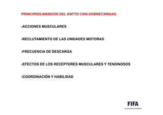 PRINCIPIOS BÁSICOS DEL ENTTO CON SOBRECARGAS
-ACCIONES MUSCULARES
-RECLUTAMIENTO DE LAS UNIDADES MOTORAS
-FRECUENCIA DE DESCARGA
-EFECTOS DE LOS RECEPTORES MUSCULARES Y TENDINOSOS
-COORDINACIÓN Y HABILIDAD
 