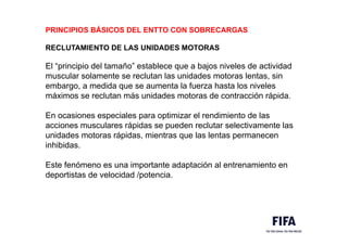 PRINCIPIOS BÁSICOS DEL ENTTO CON SOBRECARGAS
RECLUTAMIENTO DE LAS UNIDADES MOTORAS
El “principio del tamaño” establece que a bajos niveles de actividad
muscular solamente se reclutan las unidades motoras lentas, sin
embargo, a medida que se aumenta la fuerza hasta los niveles
máximos se reclutan más unidades motoras de contracción rápida.
En ocasiones especiales para optimizar el rendimiento de las
acciones musculares rápidas se pueden reclutar selectivamente las
unidades motoras rápidas, mientras que las lentas permanecen
inhibidas.
Este fenómeno es una importante adaptación al entrenamiento en
deportistas de velocidad /potencia.
 