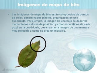 Imágenes de mapa de bits Las imágenes de mapa de bits están compuestas de puntos de color, denominados píxeles, organizados en una cuadrícula. Por ejemplo, la imagen de una hoja se describe mediante los valores de posición y color específicos de cada píxel en la cuadrícula, que crean una imagen de una manera muy parecida a como se crea un mosaico. 