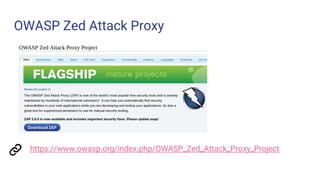 OWASP Zed Attack Proxy
https://www.owasp.org/index.php/OWASP_Zed_Attack_Proxy_Project
 