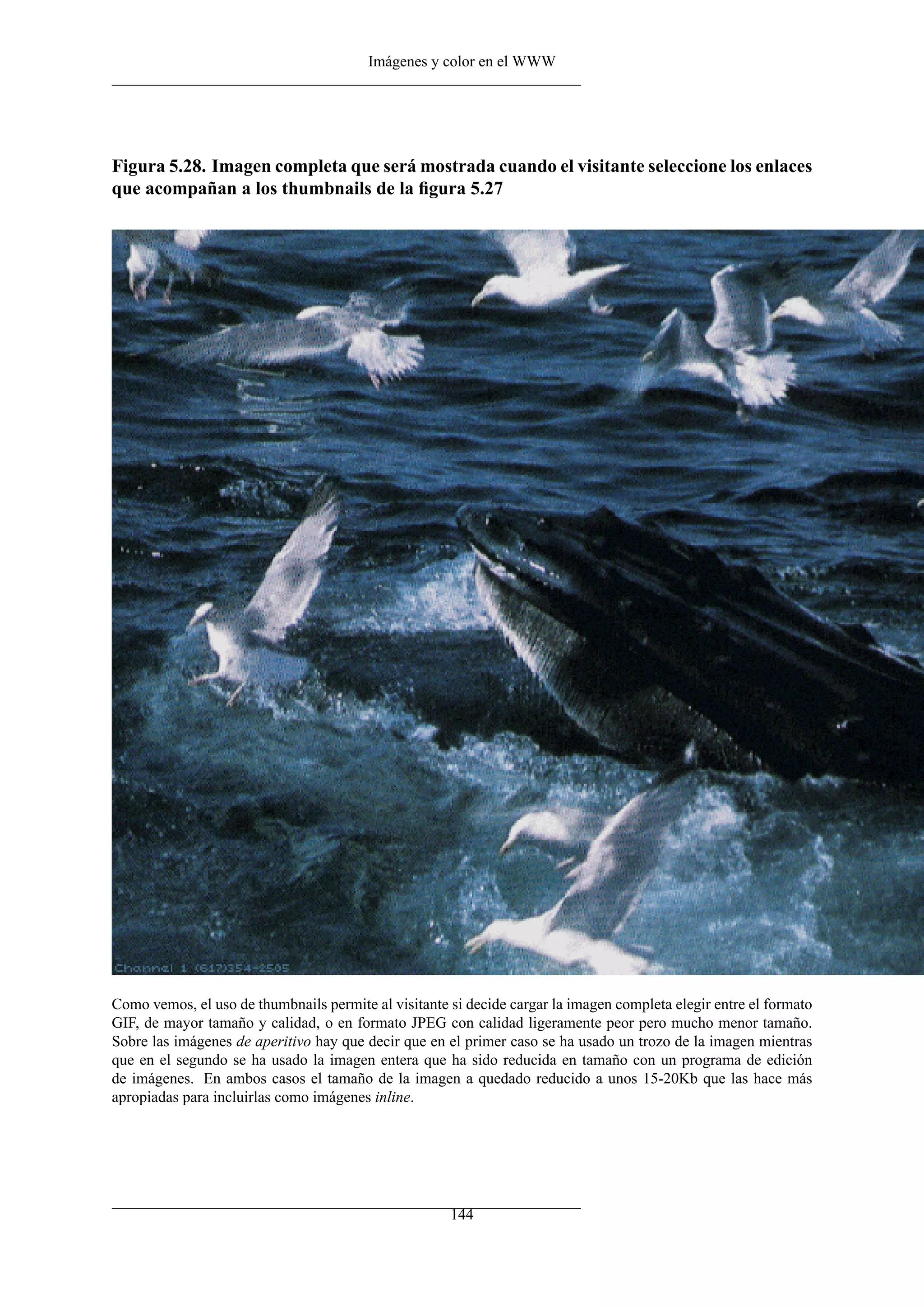 Imágenes y color en el WWW




Figura 5.28. Imagen completa que será mostrada cuando el visitante seleccione los enlaces
que acompañan a los thumbnails de la ﬁgura 5.27




Como vemos, el uso de thumbnails permite al visitante si decide cargar la imagen completa elegir entre el formato
GIF, de mayor tamaño y calidad, o en formato JPEG con calidad ligeramente peor pero mucho menor tamaño.
Sobre las imágenes de aperitivo hay que decir que en el primer caso se ha usado un trozo de la imagen mientras
que en el segundo se ha usado la imagen entera que ha sido reducida en tamaño con un programa de edición
de imágenes. En ambos casos el tamaño de la imagen a quedado reducido a unos 15-20Kb que las hace más
apropiadas para incluirlas como imágenes inline.




                                                      144
 
