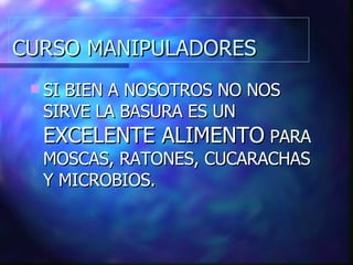 CURSO MANIPULADORES SI BIEN A NOSOTROS NO NOS SIRVE LA BASURA ES UN  EXCELENTE ALIMENTO  PARA MOSCAS, RATONES, CUCARACHAS Y MICROBIOS. 
