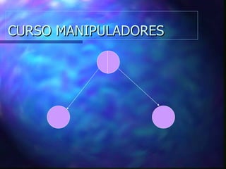 CURSO MANIPULADORES 