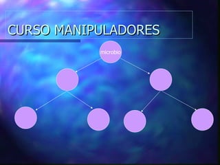 CURSO MANIPULADORES microbio 