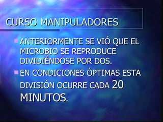 CURSO MANIPULADORES ANTERIORMENTE SE VIÓ QUE EL MICROBIO SE REPRODUCE DIVIDIÉNDOSE POR DOS. EN CONDICIONES ÓPTIMAS ESTA DIVISIÓN OCURRE CADA  20 MINUTOS . 