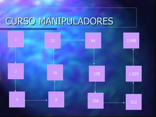 CURSO MANIPULADORES 1 2 4 8 16 32 64 128 256 512 1.024 2.048 