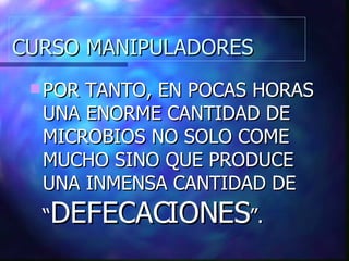 CURSO MANIPULADORES POR TANTO, EN POCAS HORAS UNA ENORME CANTIDAD DE MICROBIOS NO SOLO COME MUCHO SINO QUE PRODUCE UNA INMENSA CANTIDAD DE “ DEFECACIONES ”. 