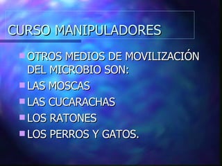 CURSO MANIPULADORES OTROS MEDIOS DE MOVILIZACIÓN DEL MICROBIO SON: LAS MOSCAS LAS CUCARACHAS LOS RATONES LOS PERROS Y GATOS. 