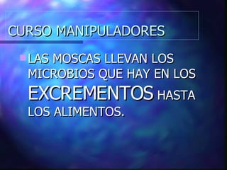 CURSO MANIPULADORES LAS MOSCAS LLEVAN LOS MICROBIOS QUE HAY EN LOS  EXCREMENTOS  HASTA LOS ALIMENTOS. 