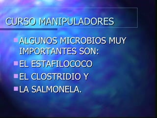 CURSO MANIPULADORES ALGUNOS MICROBIOS MUY IMPORTANTES SON: EL ESTAFILOCOCO EL CLOSTRIDIO Y LA SALMONELA. 