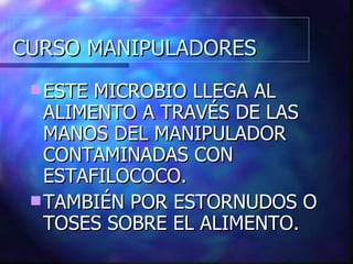 CURSO MANIPULADORES ESTE MICROBIO LLEGA AL ALIMENTO A TRAVÉS DE LAS MANOS DEL MANIPULADOR CONTAMINADAS CON ESTAFILOCOCO. TAMBIÉN POR ESTORNUDOS O TOSES SOBRE EL ALIMENTO. 