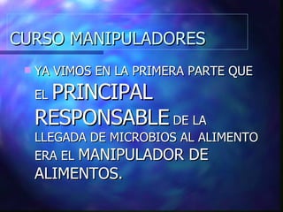 CURSO MANIPULADORES YA VIMOS EN LA PRIMERA PARTE QUE EL  PRINCIPAL RESPONSABLE  DE LA LLEGADA DE MICROBIOS AL ALIMENTO ERA EL  MANIPULADOR DE ALIMENTOS. 
