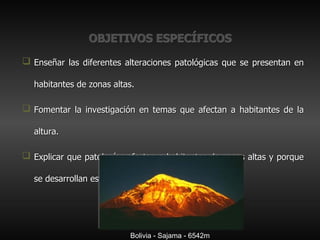 OBJETIVOS ESPECÍFICOS Enseñar las diferentes alteraciones patológicas que se presentan en habitantes de zonas altas. Fomentar la investigación en temas que afectan a habitantes de la altura. Explicar que patologías afectan a habitantes de zonas altas y porque se desarrollan estas patologías en estos habitantes. Bolivia - Sajama - 6542m 