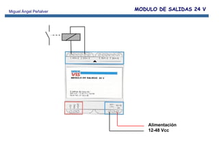 MODULO DE SALIDAS 24 V Alimentación 12-48 Vcc 