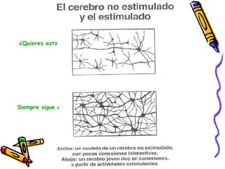 ¿Quieres estimularlo ? Siempre sigue aprendiendo  