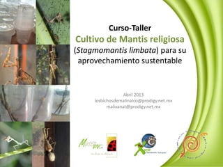 Curso-Taller
Cultivo de Mantis religiosa
(Stagmomantis limbata) para su
 aprovechamiento sustentable


                  Marzo 2013
     losbichosdemalinalco@prodigy.net.mx
           malixanat@prodigy.net.mx
 