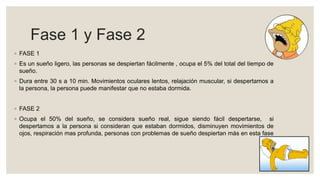 Fase 1 y Fase 2
◦ FASE 1
◦ Es un sueño ligero, las personas se despiertan fácilmente , ocupa el 5% del total del tiempo de
sueño.
◦ Dura entre 30 s a 10 min. Movimientos oculares lentos, relajación muscular, si despertamos a
la persona, la persona puede manifestar que no estaba dormida.
◦ FASE 2
◦ Ocupa el 50% del sueño, se considera sueño real, sigue siendo fácil despertarse, si
despertamos a la persona si consideran que estaban dormidos, disminuyen movimientos de
ojos, respiración mas profunda, personas con problemas de sueño despiertan más en esta fase
 