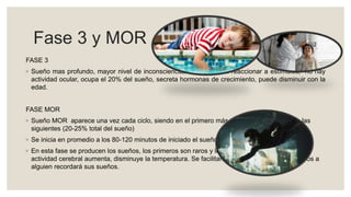 Fase 3 y MOR
FASE 3
◦ Sueño mas profundo, mayor nivel de inconsciencia, dificultad para reaccionar a estímulos, no hay
actividad ocular, ocupa el 20% del sueño, secreta hormonas de crecimiento, puede disminuir con la
edad.
FASE MOR
◦ Sueño MOR aparece una vez cada ciclo, siendo en el primero más corto, para aumentar en las
siguientes (20-25% total del sueño)
◦ Se inicia en promedio a los 80-120 minutos de iniciado el sueño.
◦ En esta fase se producen los sueños, los primeros son raros y los últimos son más lógicos. La
actividad cerebral aumenta, disminuye la temperatura. Se facilitan los ronquidos. Si despertamos a
alguien recordará sus sueños.
 