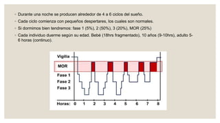 ◦ Durante una noche se producen alrededor de 4 a 6 ciclos del sueño.
◦ Cada ciclo comienza con pequeños despertares, los cuales son normales.
◦ Si dormimos bien tendremos: fase 1 (5%), 2 (50%), 3 (20%), MOR (25%)
◦ Cada individuo duerme según su edad. Bebé (18hrs fragmentado), 10 años (9-10hrs), adulto 5-
6 horas (continuo).
MOR
 