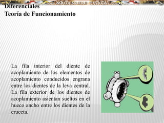 La fila interior del diente de
acoplamiento de los elementos de
acoplamiento conducidos engrana
entre los dientes de la leva central.
La fila exterior de los dientes de
acoplamiento asientan sueltos en el
hueco ancho entre los dientes de la
cruceta.
Diferenciales
Teoría de Funcionamiento
 