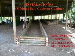 PENDIENTE 4%
DRENAJE
RECOLECCIÓN
DE LIXIVIADOS
INSTALACIONES
(Módulos Bajo Cubierta-Guadua)
 