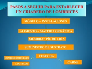 PASOS A SEGUIR PARA ESTABLECER
UN CRIADERO DE LOMBRICES
MÓDULO = INSTALACIONES
ALIMENTO = MATERIA ORGÁNICA
SIEMBRA= PÍE DE CRÍA
SUMINISTRO DE SUSTRATO
COSECHA
LOMBRICOMPUESTO
CARNELIXIVIADO
 
