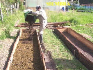 SIEMBRA
 
