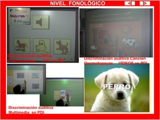NIVEL FONOLÓGICO
Discriminación auditiva
Onomatopeyas PPT en PDI
Discriminación auditiva Canción
Onomatopeyas VÍDEOS en PDI
Discriminación auditiva
Multimedia en PDI